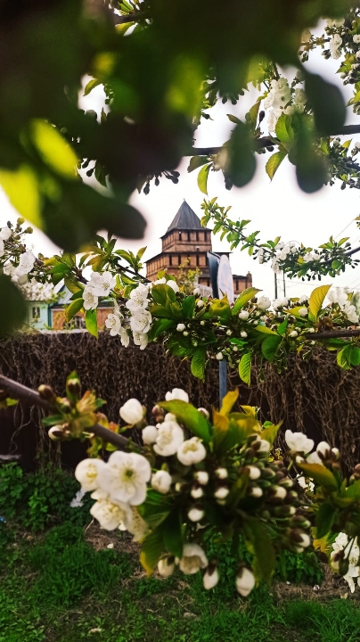 Коломенский Кремль — гений фортификационного зодчества