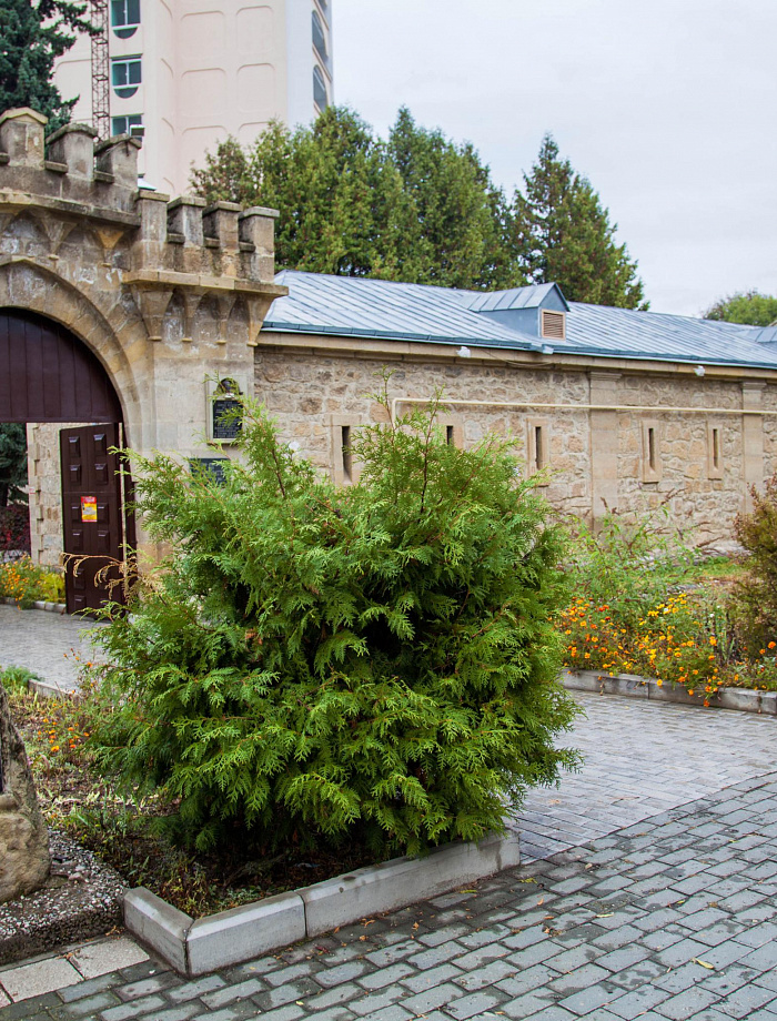 Экскурсия по Кисловодскому историко-краеведческому музею «Крепость»