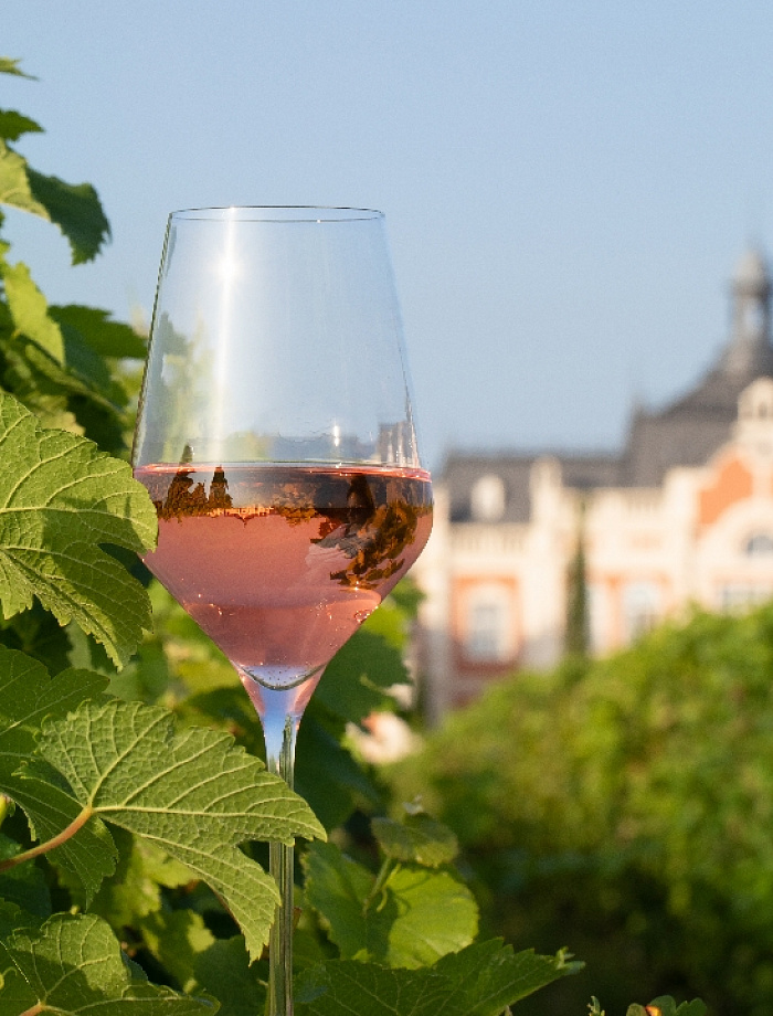 Онлайн-экскурсия по производству Шато де Талю