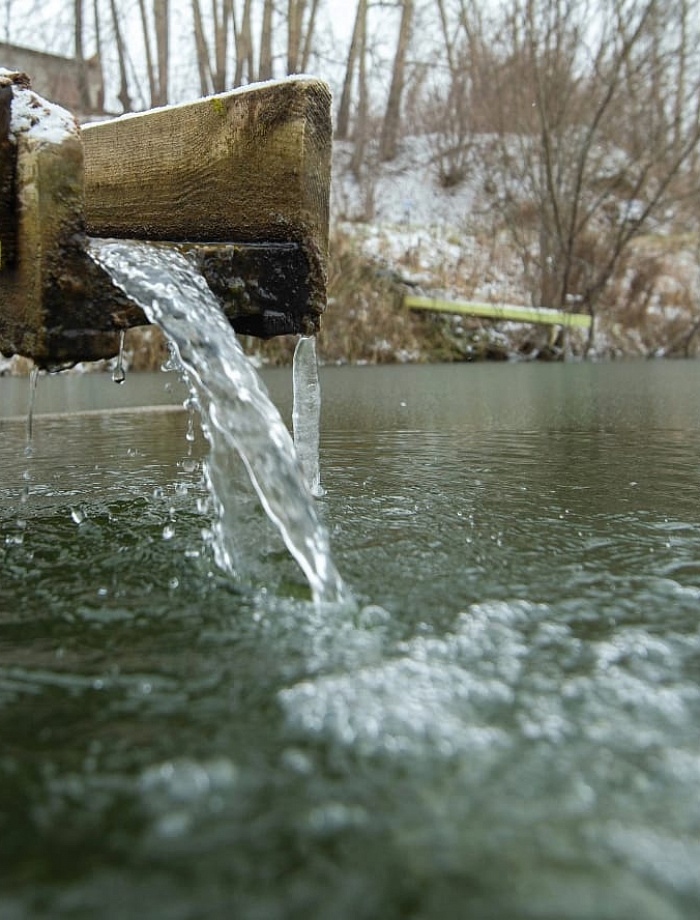 Родники Университетского озера